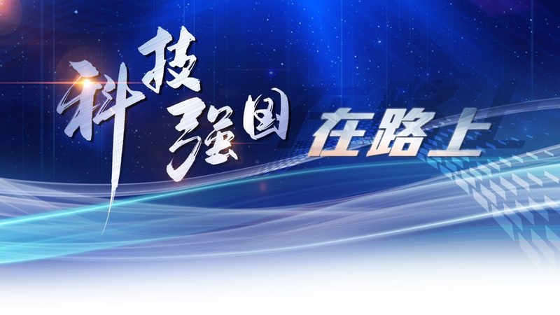 政府数据治理标准规范：制定指南与实施要点
